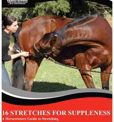 16 Stretches for Suppleness (eBook)