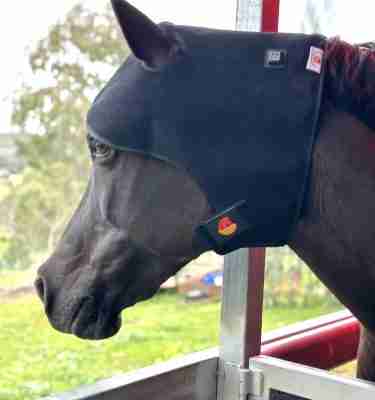 Equine Poll/TMJ Cap