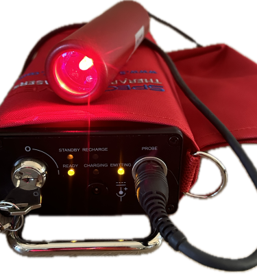3SpectraVET ReD Class 3B Laser