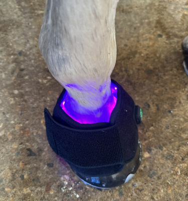 ETP Photonic Pastern/Hoof Wrap Multi Radiance