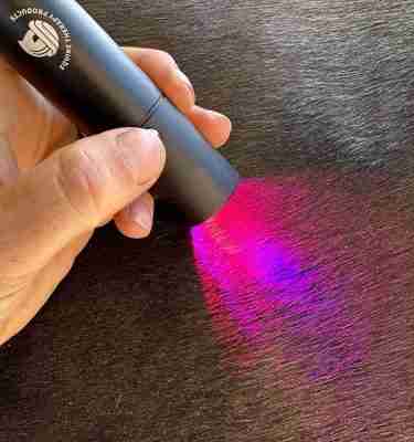Red Light & Photonic Therapy Workshop