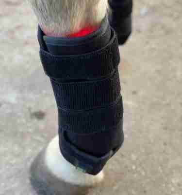 Multi Radiance Tendon Boots