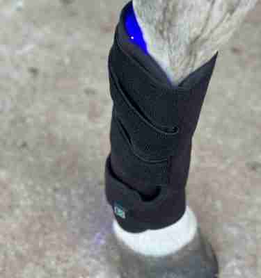 Blue/Infra Red Tendon Boot