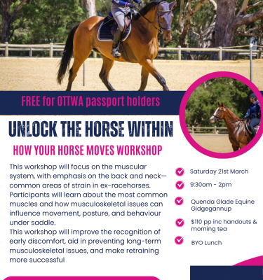 How Your Horse Moves Workshop
