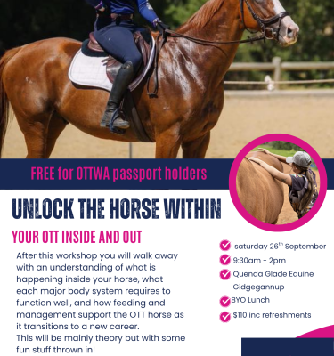 Your Horse Inside and Out